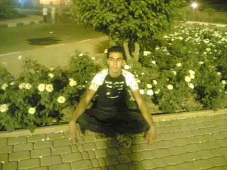 halim halim